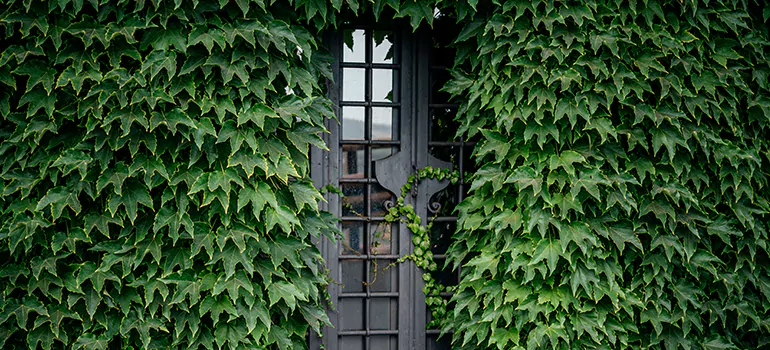 Garden Gate Repair in Midway, FL